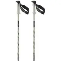 Salomon Polar Pro S3 Stavar