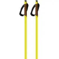 Fischer Storm Gtx S Stavar