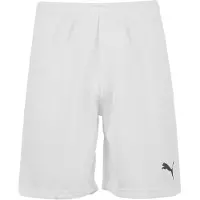 Puma Shorts teamRISE Short 70494203