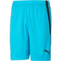 Puma teamLIGA Shorts 70492440