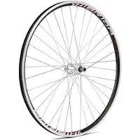 Gurpil Xm-1 6-7s 29´´ Tubeless Mtb Bakhjul