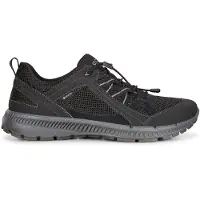 Ecco Men's Terracruise II Black/Black