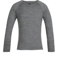 Icebreaker 200 Oasis Crew Merino T-shirt Med Lång ärm