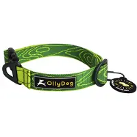 OllyDog Flagstaff Collar Sage Bark