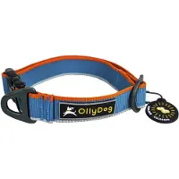OllyDog Urban Trail Reflective Collar Air Blue