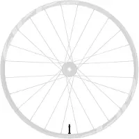 Zipp Universal Tubeless 44 Mm 1zero Ventil
