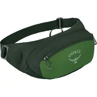 Osprey Daylite Waist Green Belt/Green Canopy