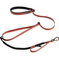 OllyDog Flagstaff Adjustable Spring Leash Clay