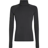 Icebreaker 300 Merinofine Polar Roll Neck Långärmad Baslager