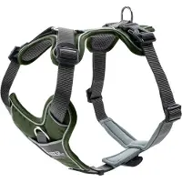 Hunter Divo Hundsele