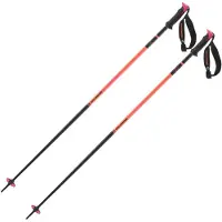 Salomon Polar Pro S3 Stavar