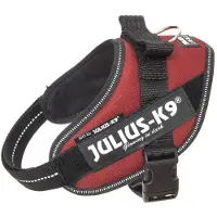 JULIUS K-9 Idc Power Hundsele