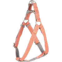 Flamingo Step&go Elly Hundsele