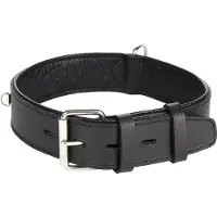 Flamingo Rondo Riveted Hundhalsband