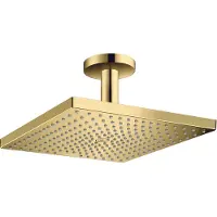 Hansgrohe Raindance E300 takdusch för tak polerad guld optik