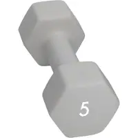 Abilica Hantel (5 kg)