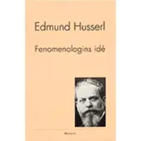 Fenomenologins idé