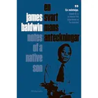 En svart mans anteckningar
