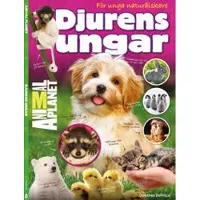 Djurens ungar - för unga naturälskare