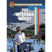 Det mystiska mötet