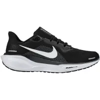Nike Pegasus 41 Löparskor
