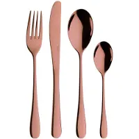 Pintinox Bestickset 24 delar Princess Amber