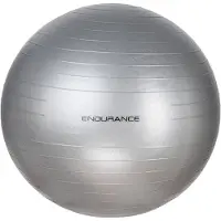 Endurance 65 Cm Fitboll