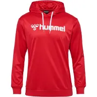 Hummel Logo Tröja Med Huva