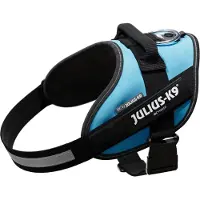 JULIUS K-9 Idc Power Hundsele