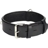Flamingo Rondo Riveted Hundhalsband