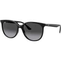 Ray-Ban 0RB4378 Solglasögon -