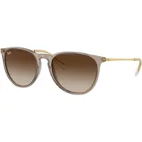 Ray-Ban Erika Classic RB4171 Solglasögon -