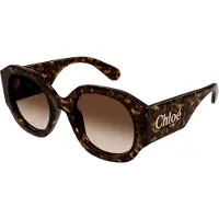 Chloé Rund Dam Dark Havana Brun Gradient CH0234S