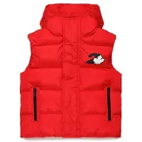 Dsquared2 Kids Dq2448 Väst