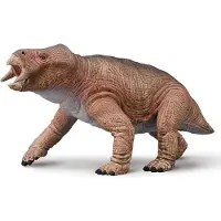Collecta Placerias