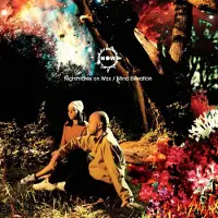 RecordCityJP LP-skiva NIGHTMARES ON WAX - Mind Elevation WARPLP95R Warp Records 2014 Storbritannien Dans & Elektronisk Musik