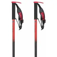 Line Pin 22/23 alpina skidstavar