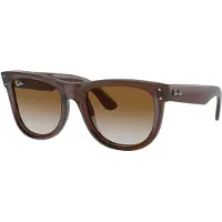 Ray-Ban Wayfarer Reverse 0RBR0502S Solglasögon -