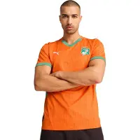 Puma Elfenbenskusten Hemmatröja Africa Cup of Nations 2025 - , storlek Small