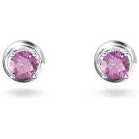 Swarovski Kristallörhängen för Damer 5639135