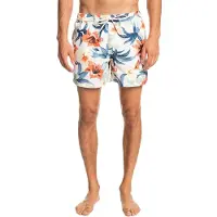 Quiksilver Garden Path 15 Simshorts