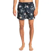 Quiksilver Scenic 15 Simshorts