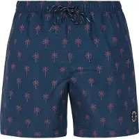 Protest Alvis Simshorts