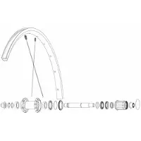 Mavic Kit 12 Rear Ksyrium S Ds Ekrar