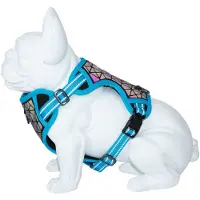 Freedog Boreal Hundsele