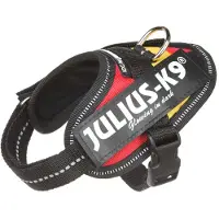 JULIUS K-9 Idc Power Baby Hundsele