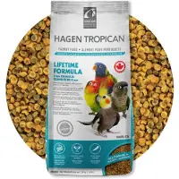 Tropican Livstidsunderhåll Av Nymfer