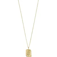 Pilgrim Halsband 'Zodiac Sign Capricornus' guld