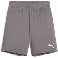 Puma Fotbollsshorts teamGOAL - Grå/Vit Barn, storlek 152 cm