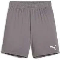Puma Fotbollsshorts teamGOAL - Grå/Vit Barn, storlek 128 cm